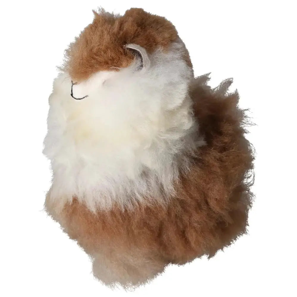 orbitvu|type:image2d