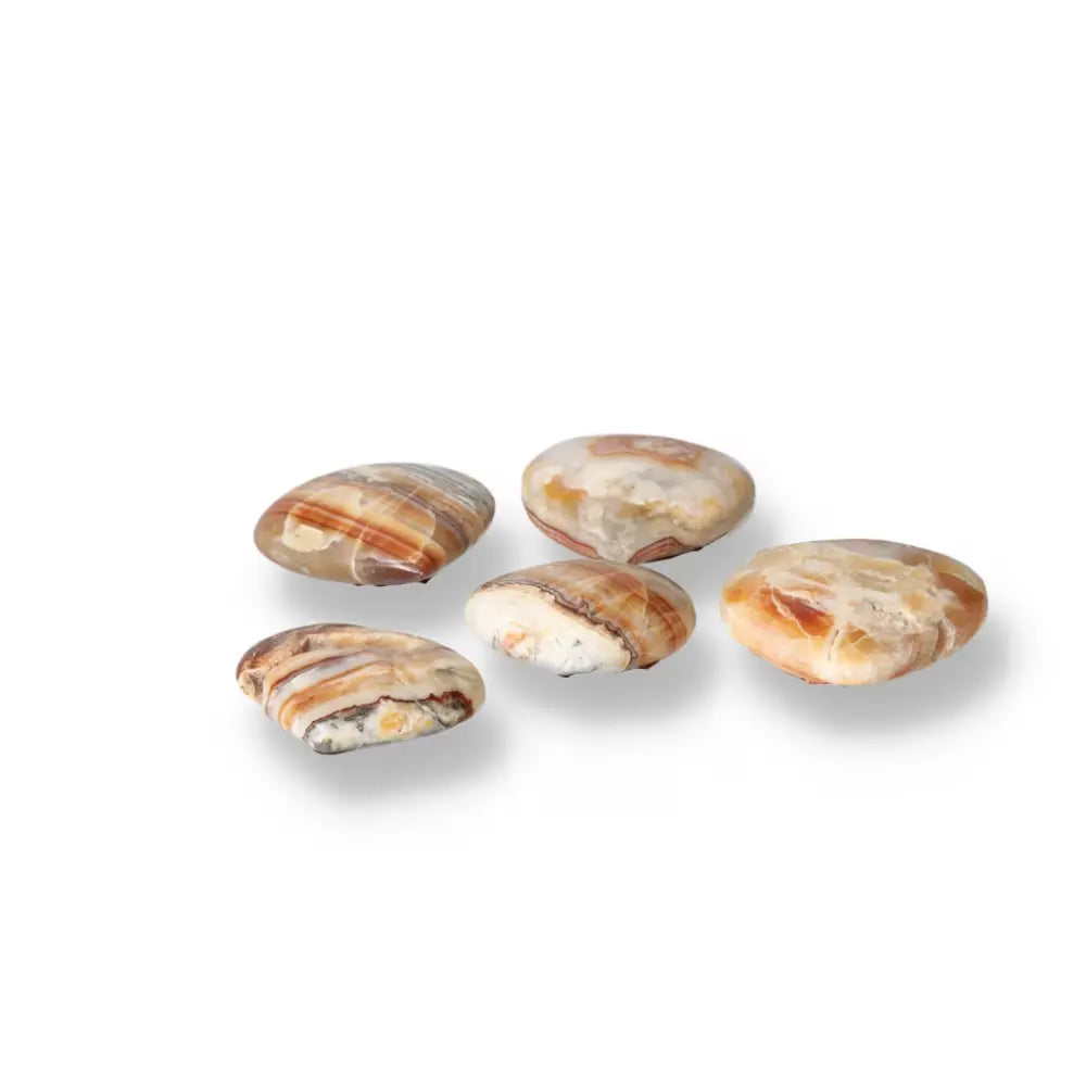 Brown Aragonite Palm Stones for meditation and stress relief, showcasing natural earthy tones, perfect for crystal collections.