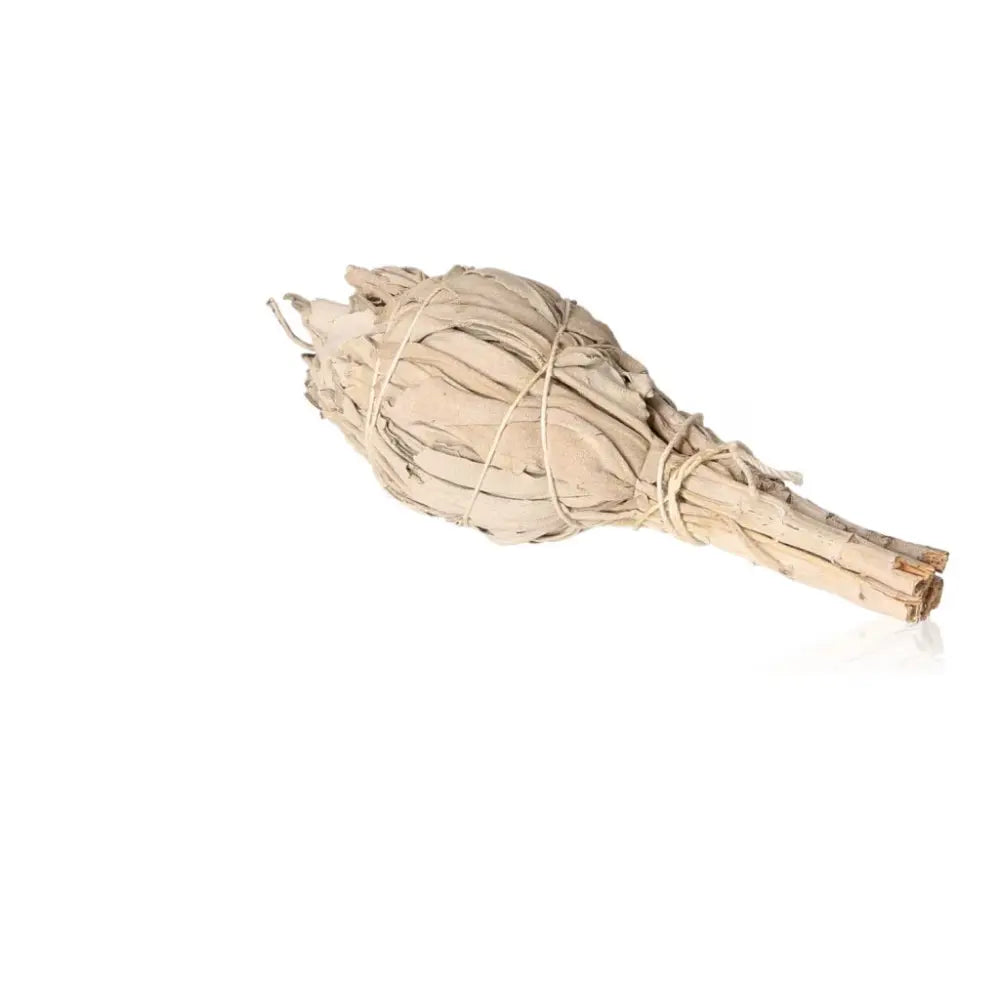 Bunch of white sage for meditation and healing rituals, indigenous herb with ancient medicinal properties, on white background.