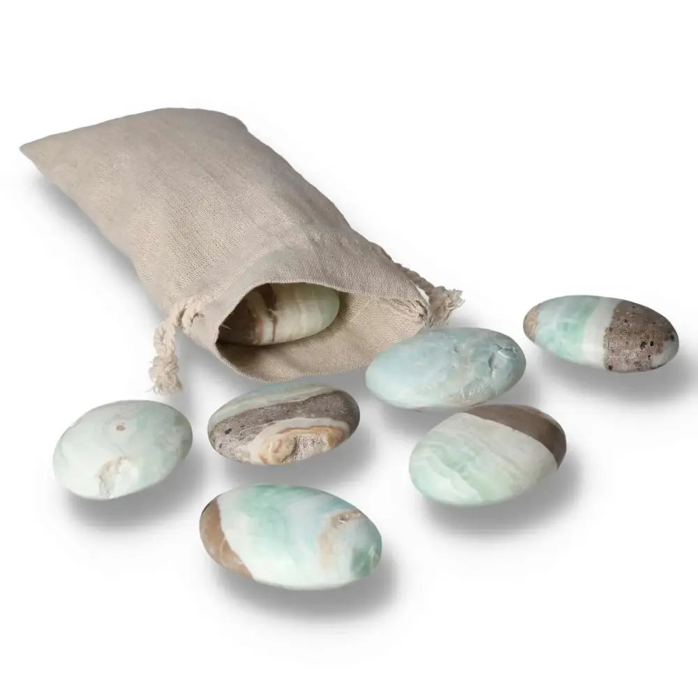 orbitvu|type:image2d