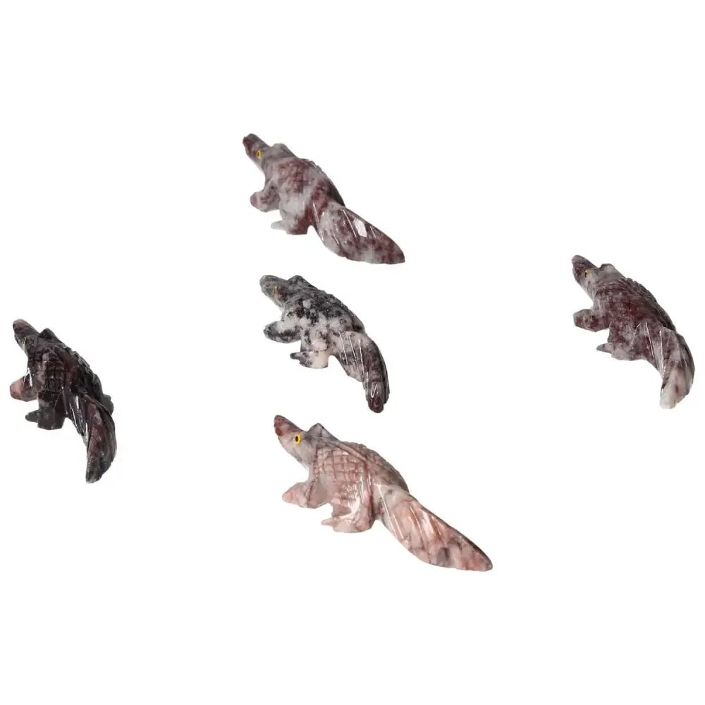 orbitvu|type:image2d