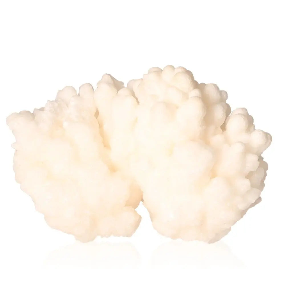 Cave Calcite Stalactite Cluster - Intricate Natural Formation, Spiritual Energy Decor for Collectors