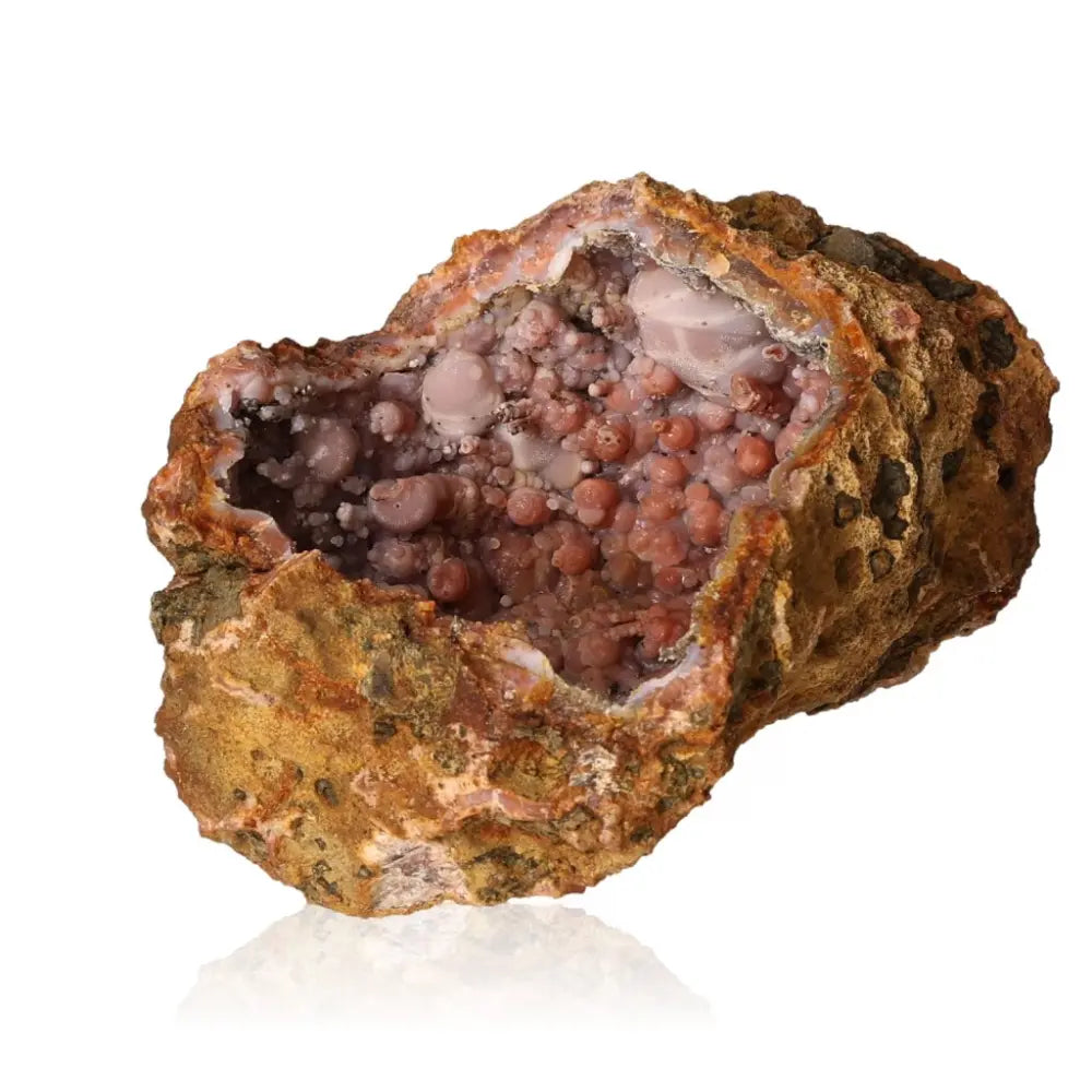 orbitvu|type:ORBITVU 360|https://orbitvu.co/share/3TSd9rnfUhJDv9gBeoKKwZ/6392513/360/iframe