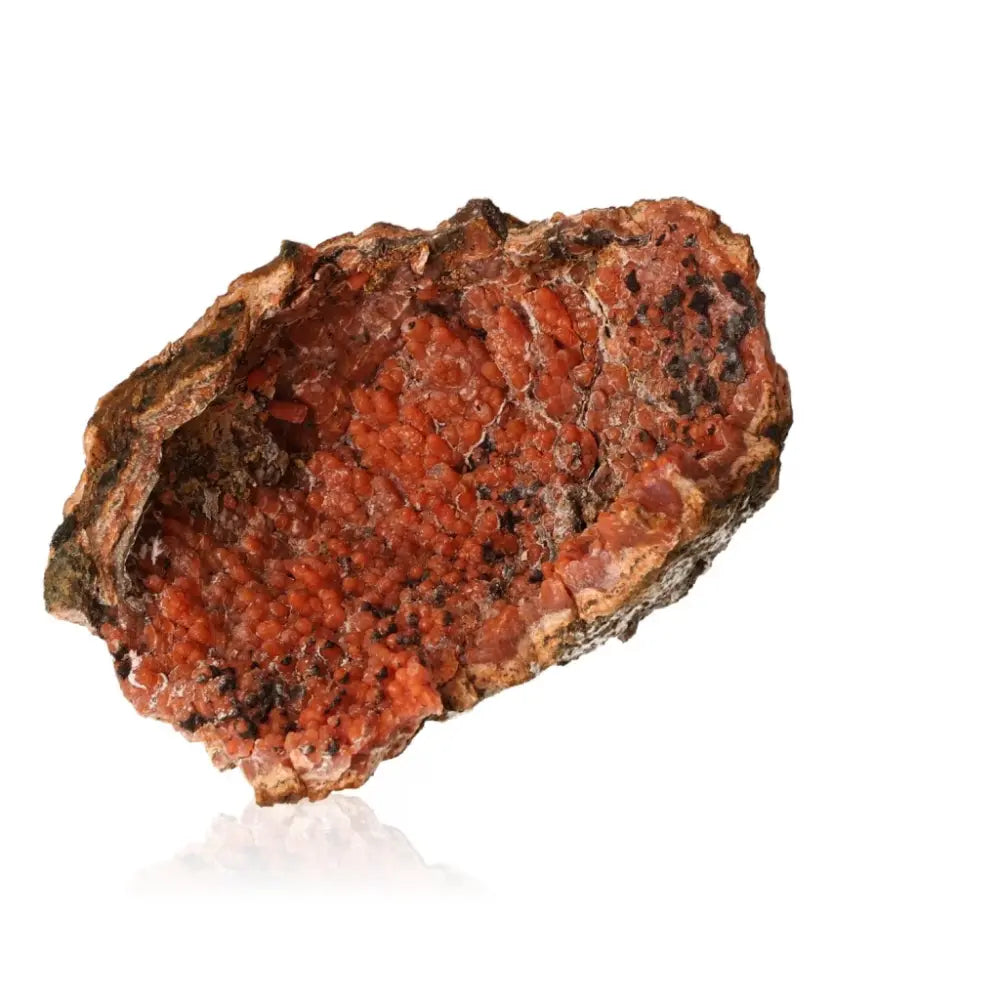 Vibrant red chalcedony stalactite from Sylvia Crystals, showcasing unique natural formations and luxurious elegance.