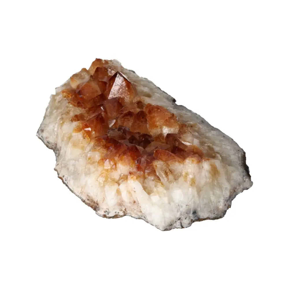 orbitvu|type:ORBITVU 360|https://orbitvu.co/share/dKg99aJ4TaPSSyNLse8Zf6/6561560/360/iframe