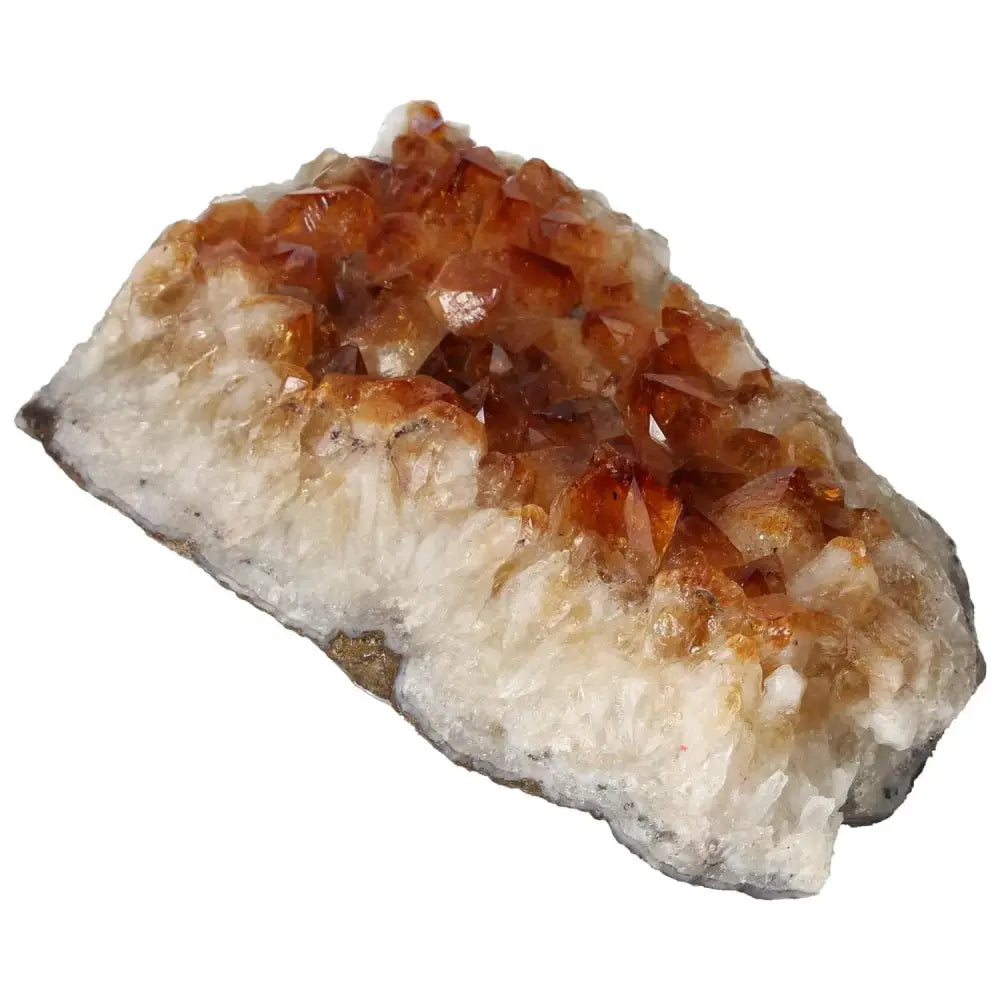 orbitvu|type:image2d