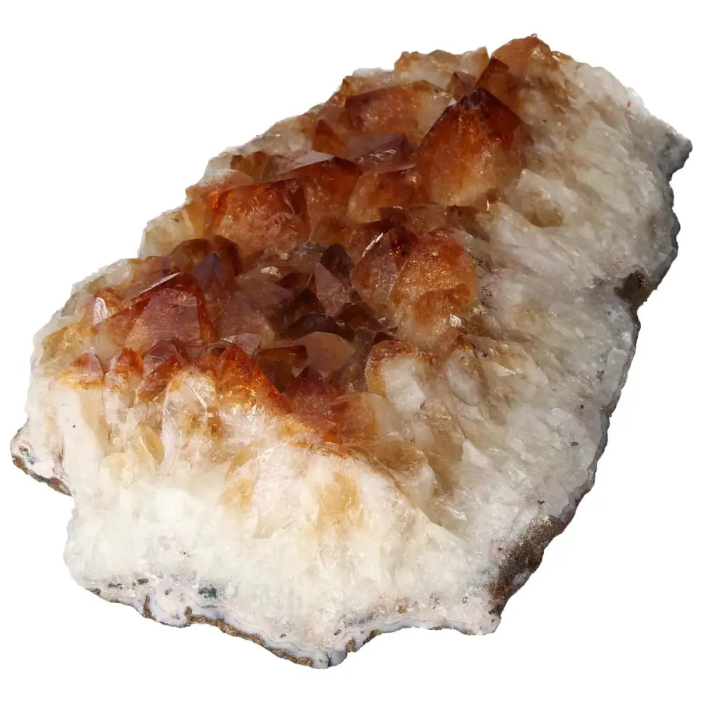 orbitvu|type:image2d