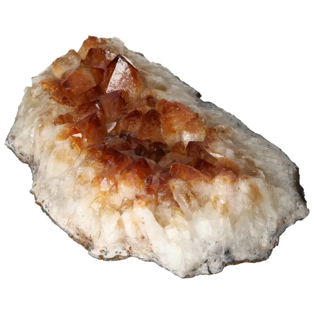 orbitvu|type:image2d