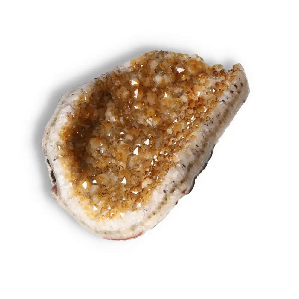Premium Citrine Druze crystal by Sylvia Crystals, known for beauty and vitality, featuring shimmering amber hues on a textured base.