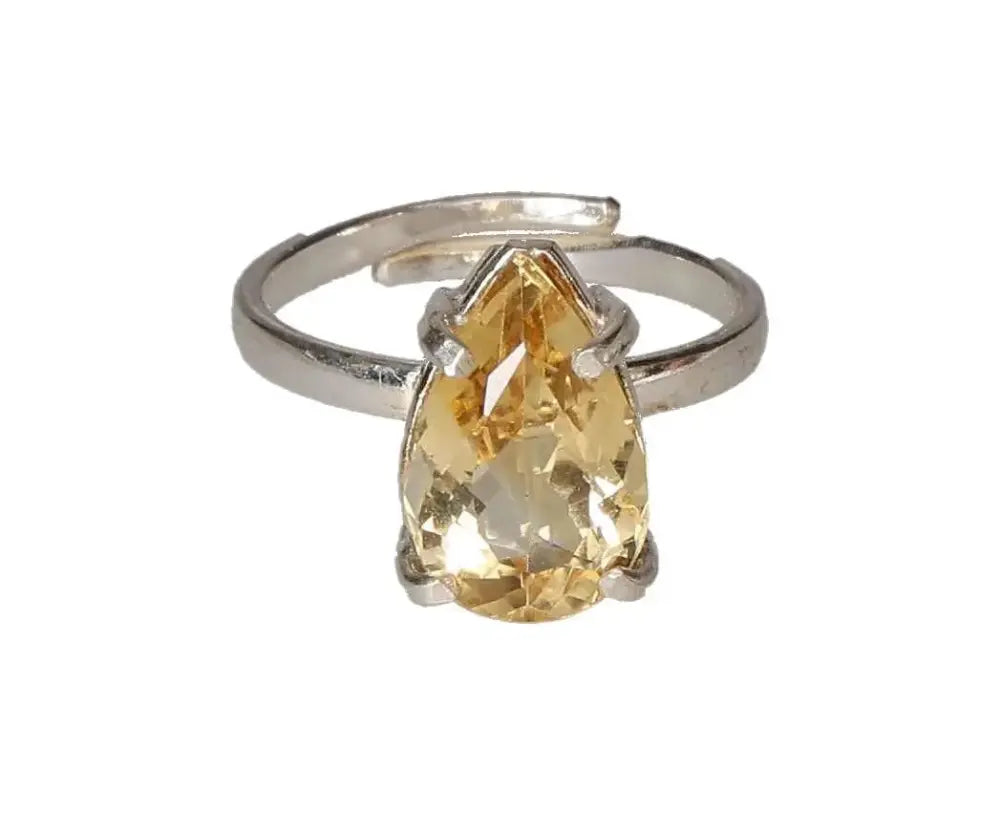 orbitvu|type:image2d