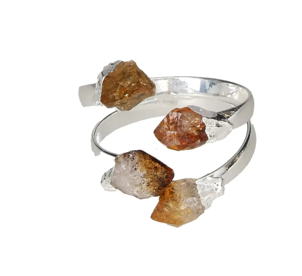 orbitvu|type:image2d