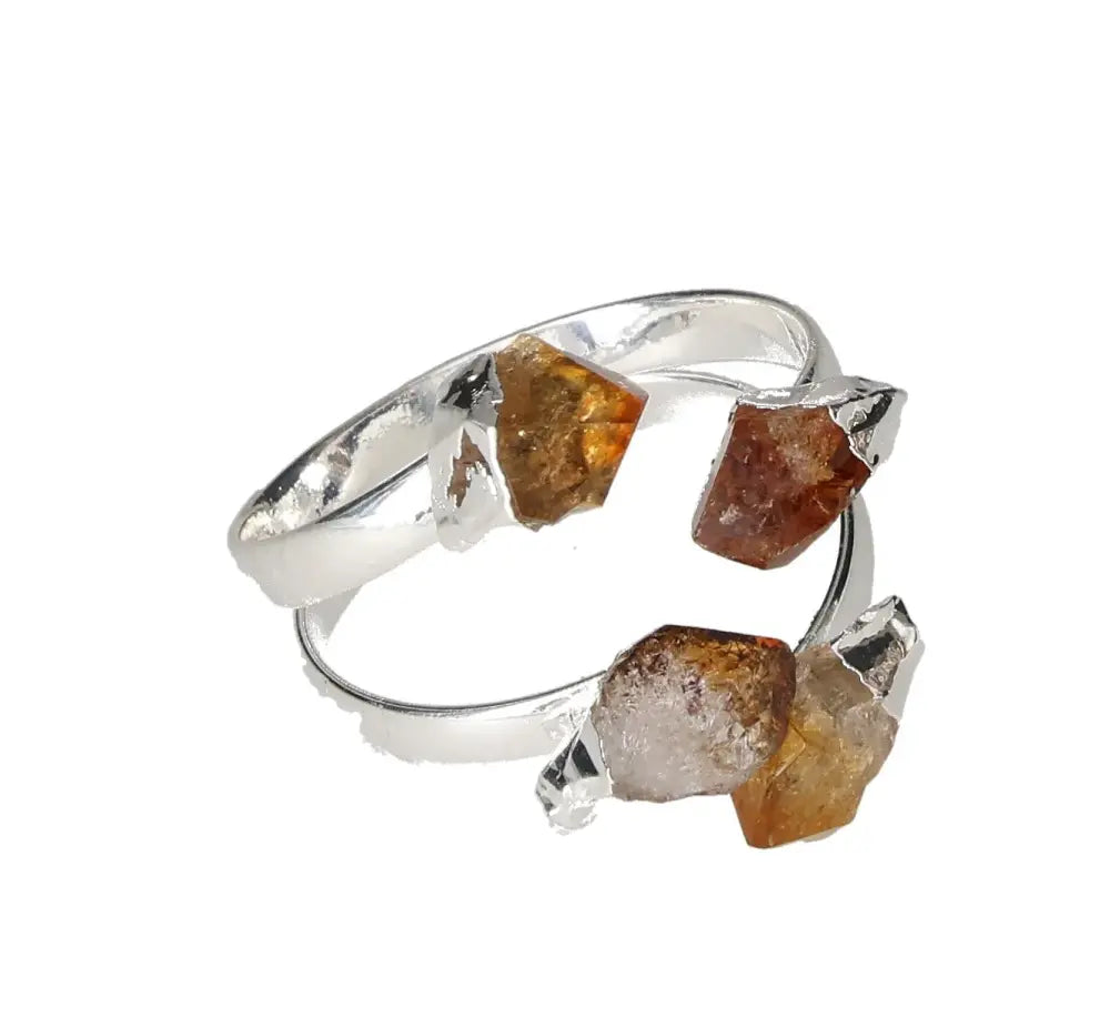 orbitvu|type:image2d