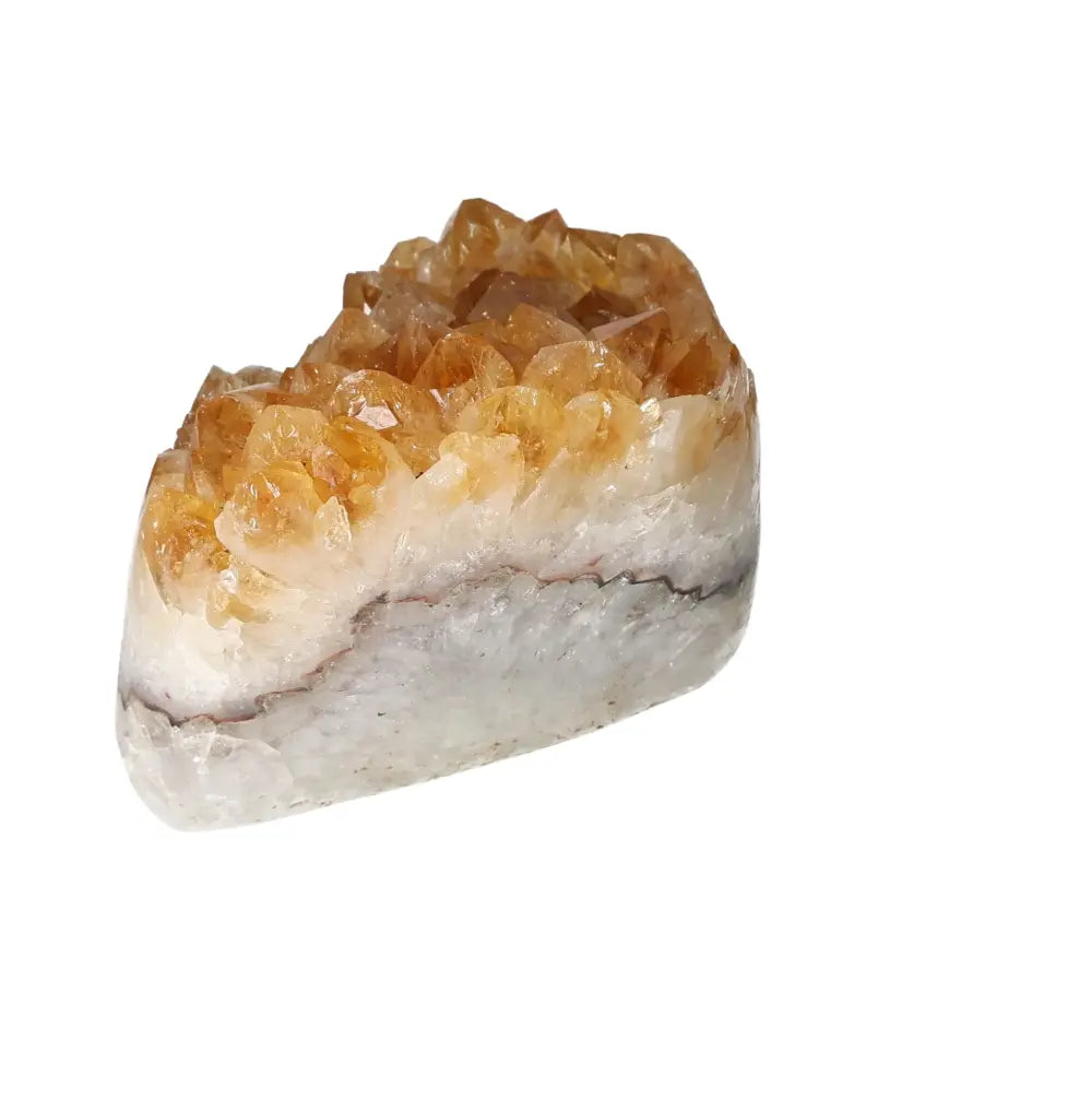 orbitvu|type:image2d