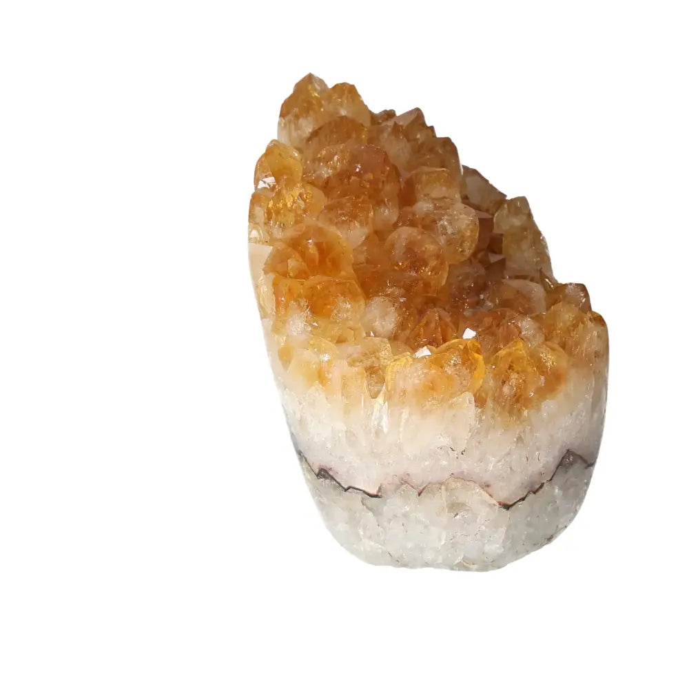 orbitvu|type:image2d