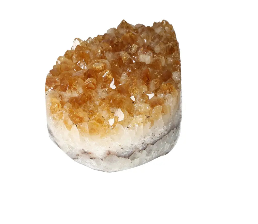 orbitvu|type:image2d