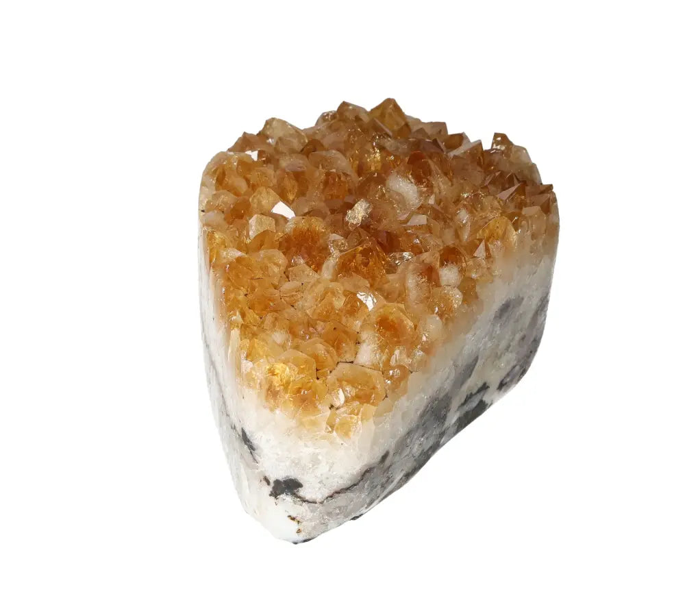 orbitvu|type:image2d