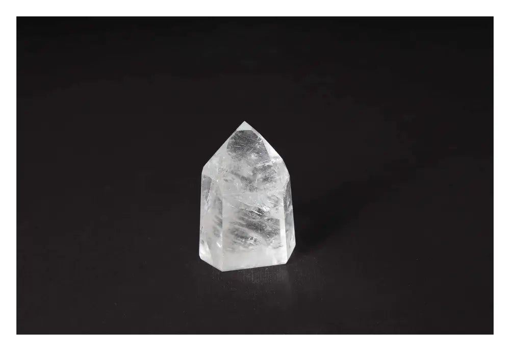 orbitvu|type:image2d