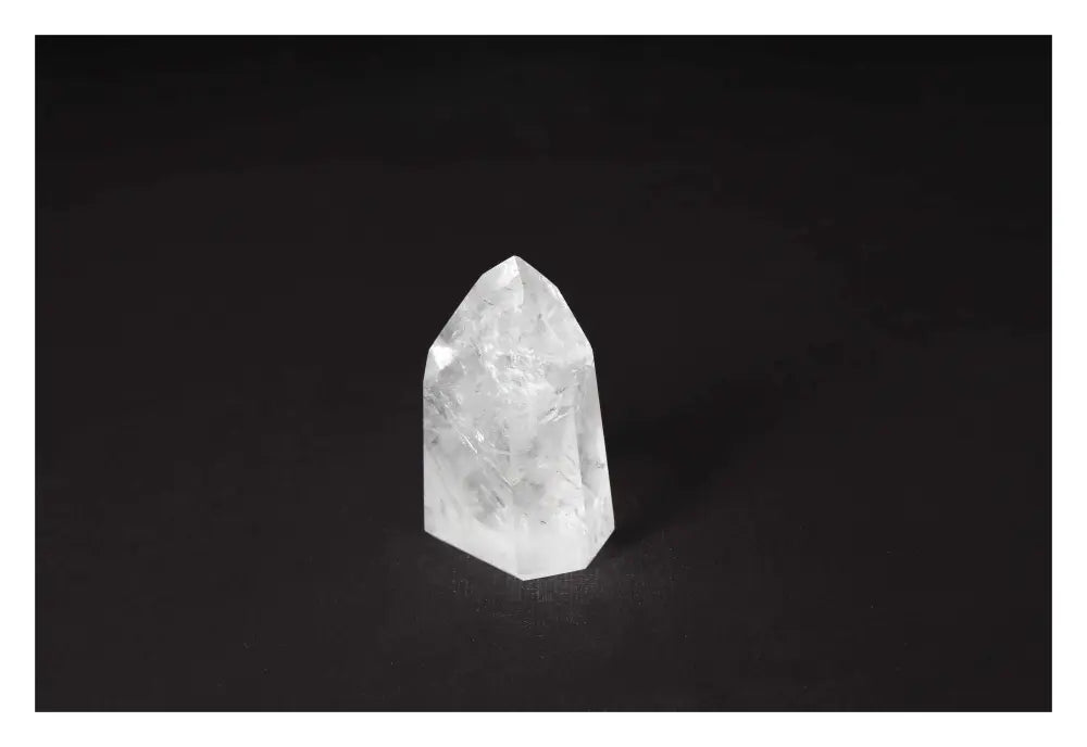 orbitvu|type:image2d