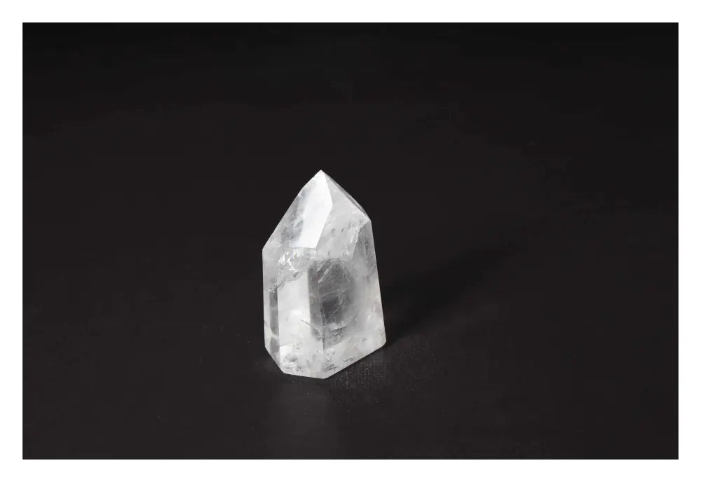 orbitvu|type:image2d