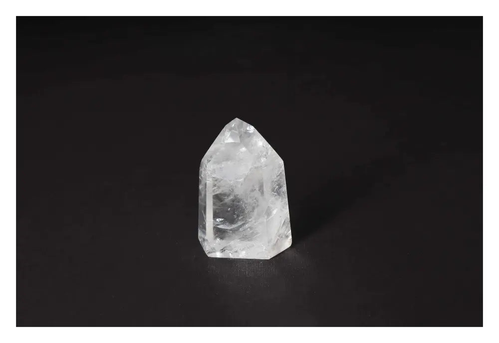 orbitvu|type:image2d