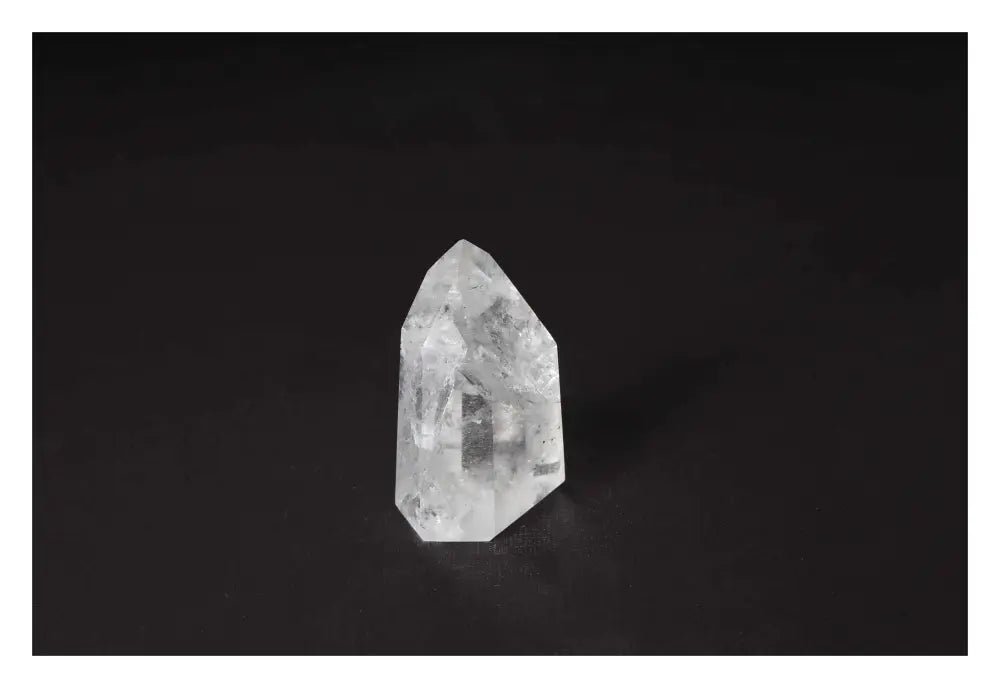 orbitvu|type:image2d