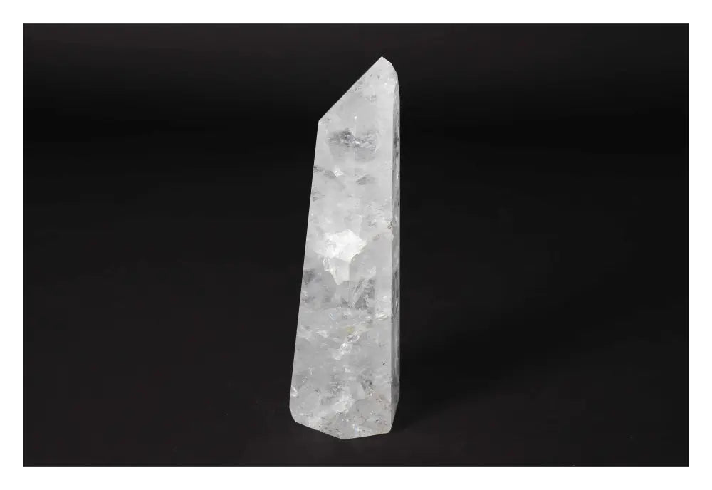 orbitvu|type:image2d