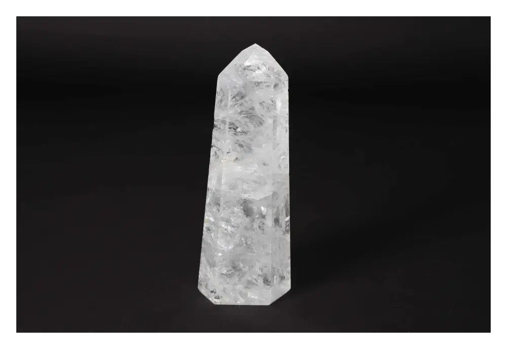 orbitvu|type:image2d