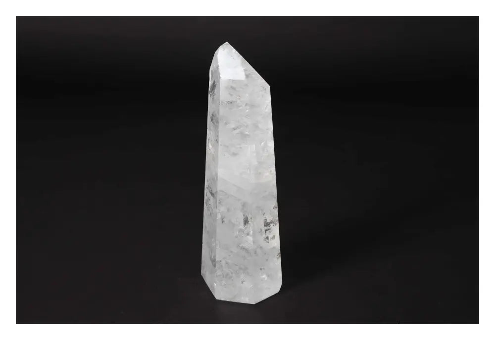 orbitvu|type:image2d