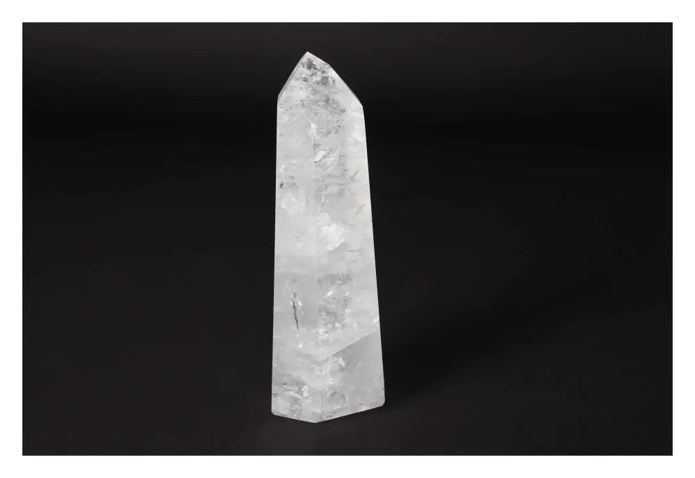 orbitvu|type:image2d