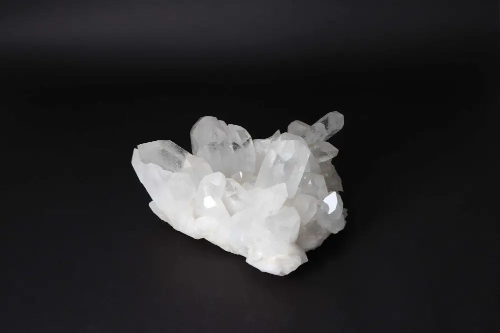 orbitvu|type:image2d