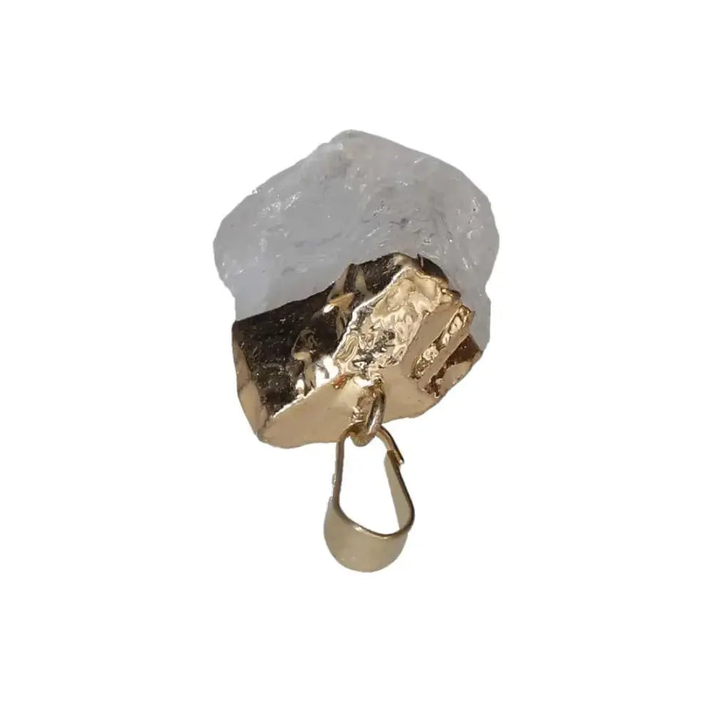 orbitvu|type:image2d