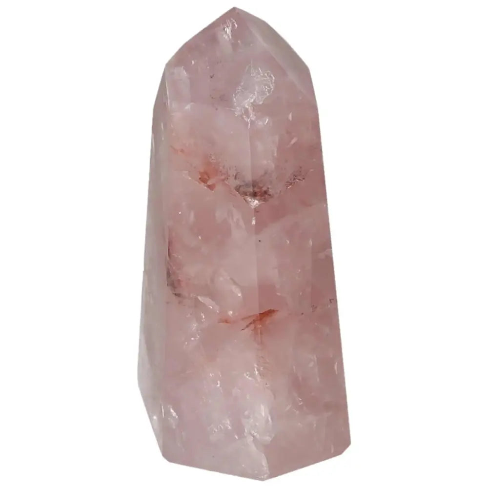 orbitvu|type:image2d