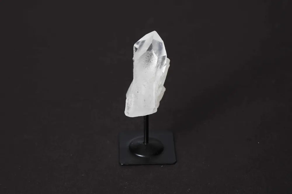 orbitvu|type:image2d