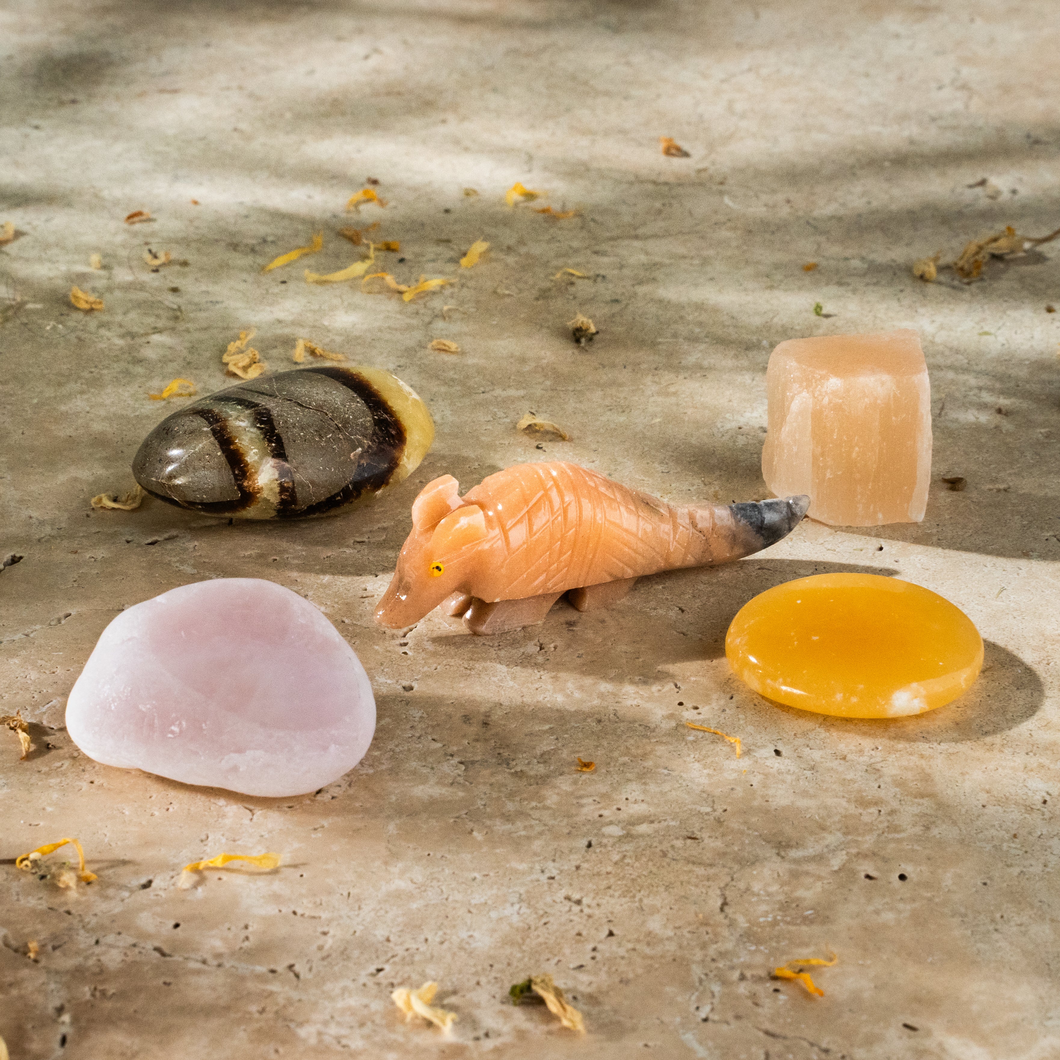 Creative Set "Crystals of the Senses" ARMADILLO+ Sylvia Crystals Sp. z o.o.