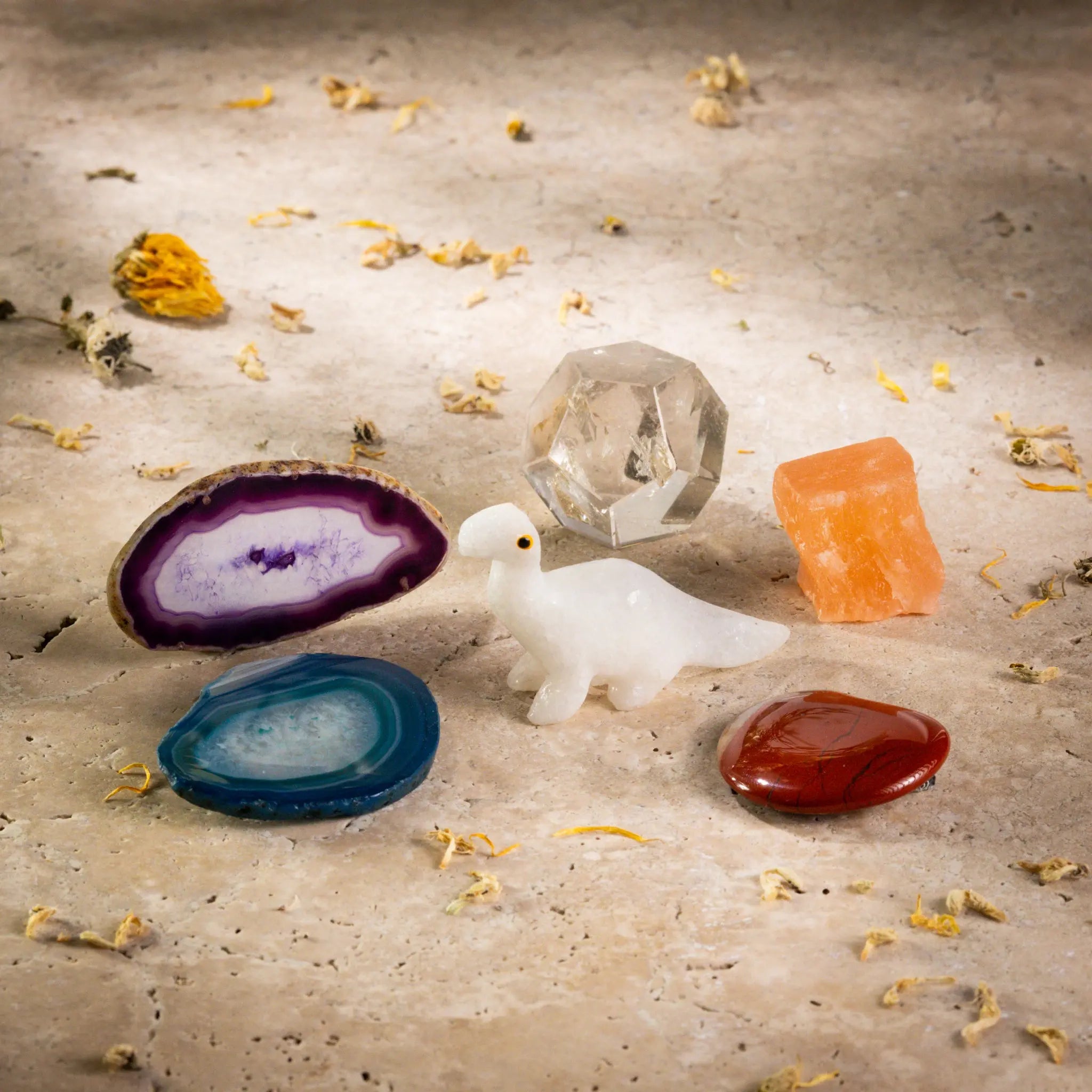 Creative Set "Crystals of the Senses" DINOSAUR Sylvia Crystals Sp. z o.o.