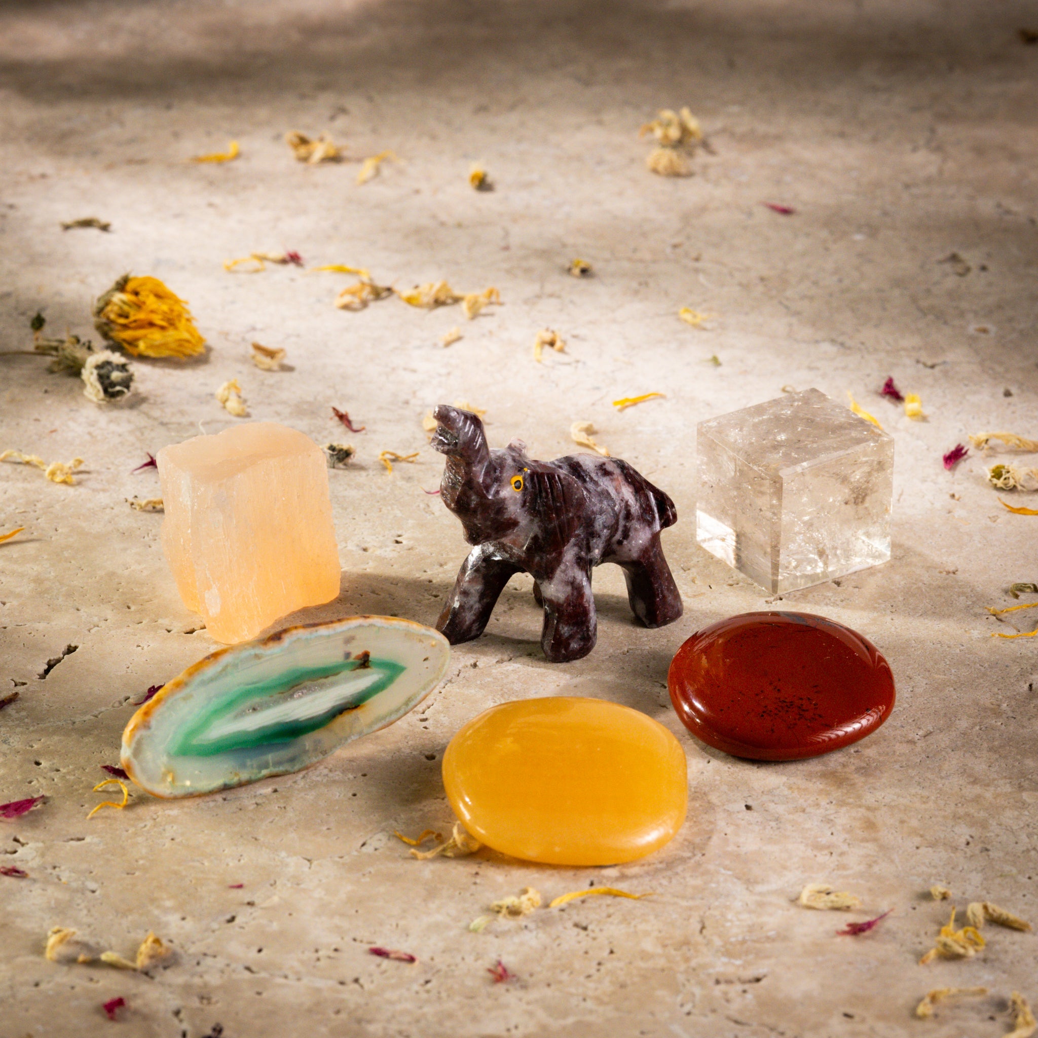 Creative Set "Crystals of the Senses" ELEPHANT Sylvia Crystals Sp. z o.o.