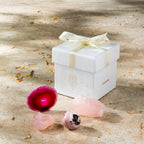 Libra Zodiac Crystal Set  Stones for Love and Inner Peace 001234 000123