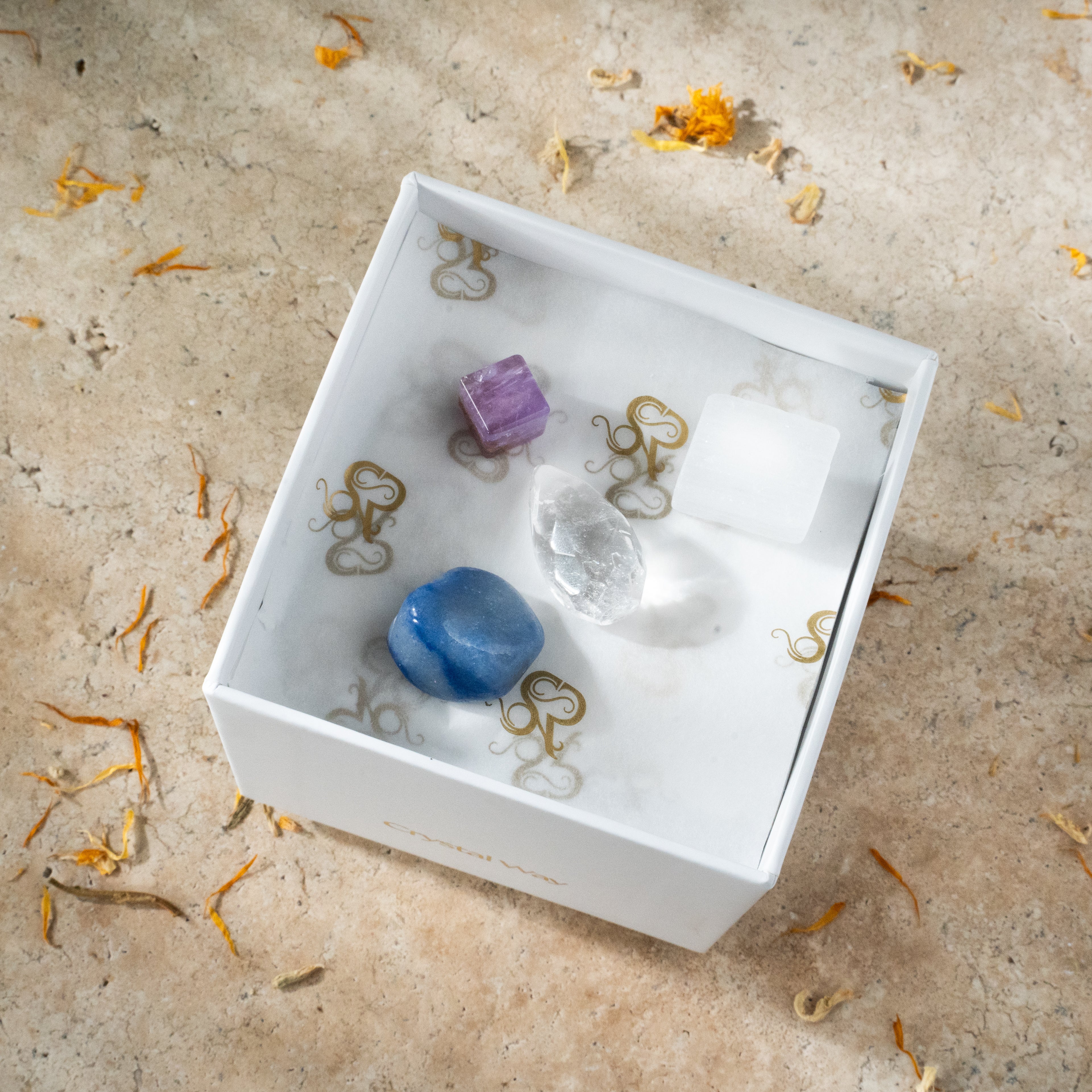 Capricorn Zodiac Crystal Set Stones for Ambition and Grounding 000123