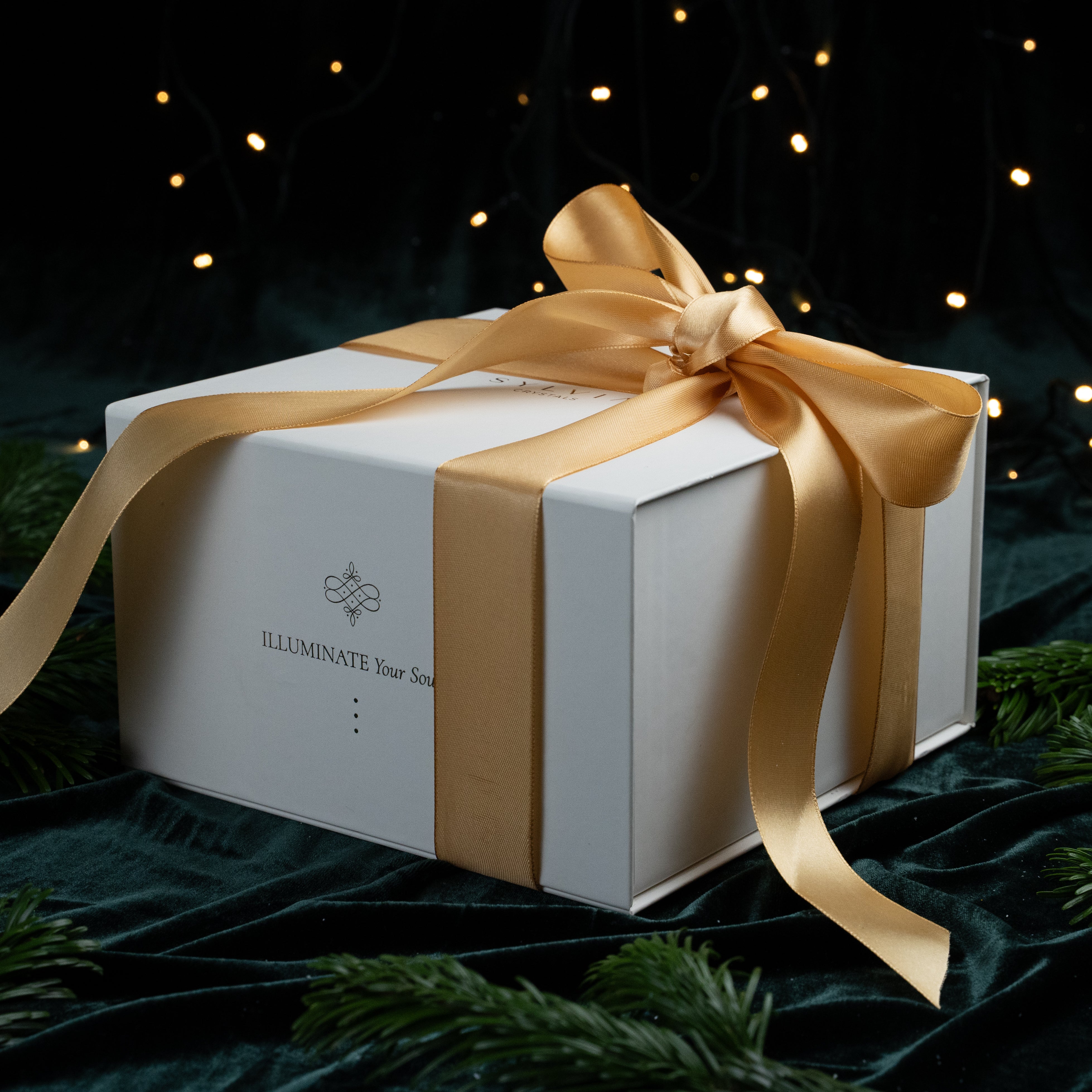 LUMINOUS MOMENT Christmas Premium Box 880028