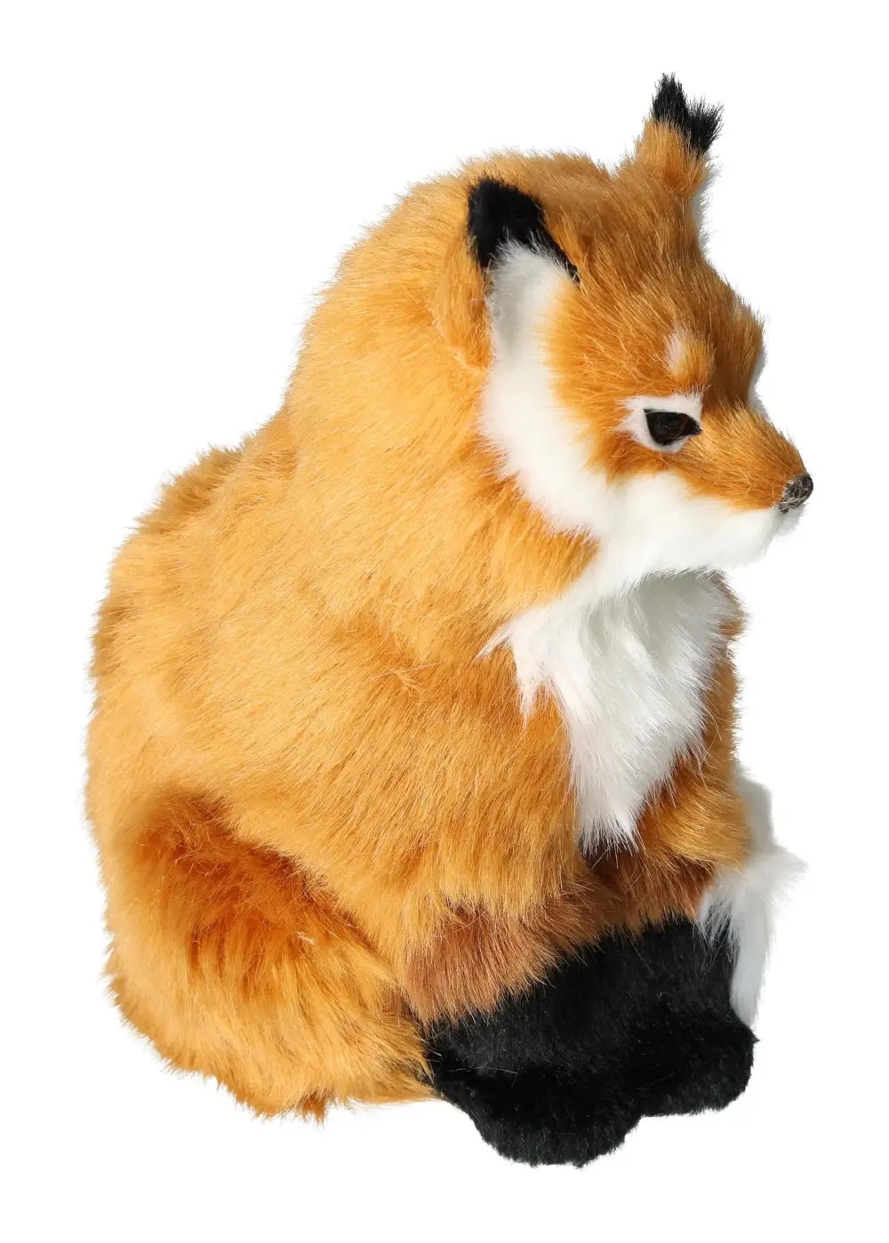 orbitvu|type:image2d