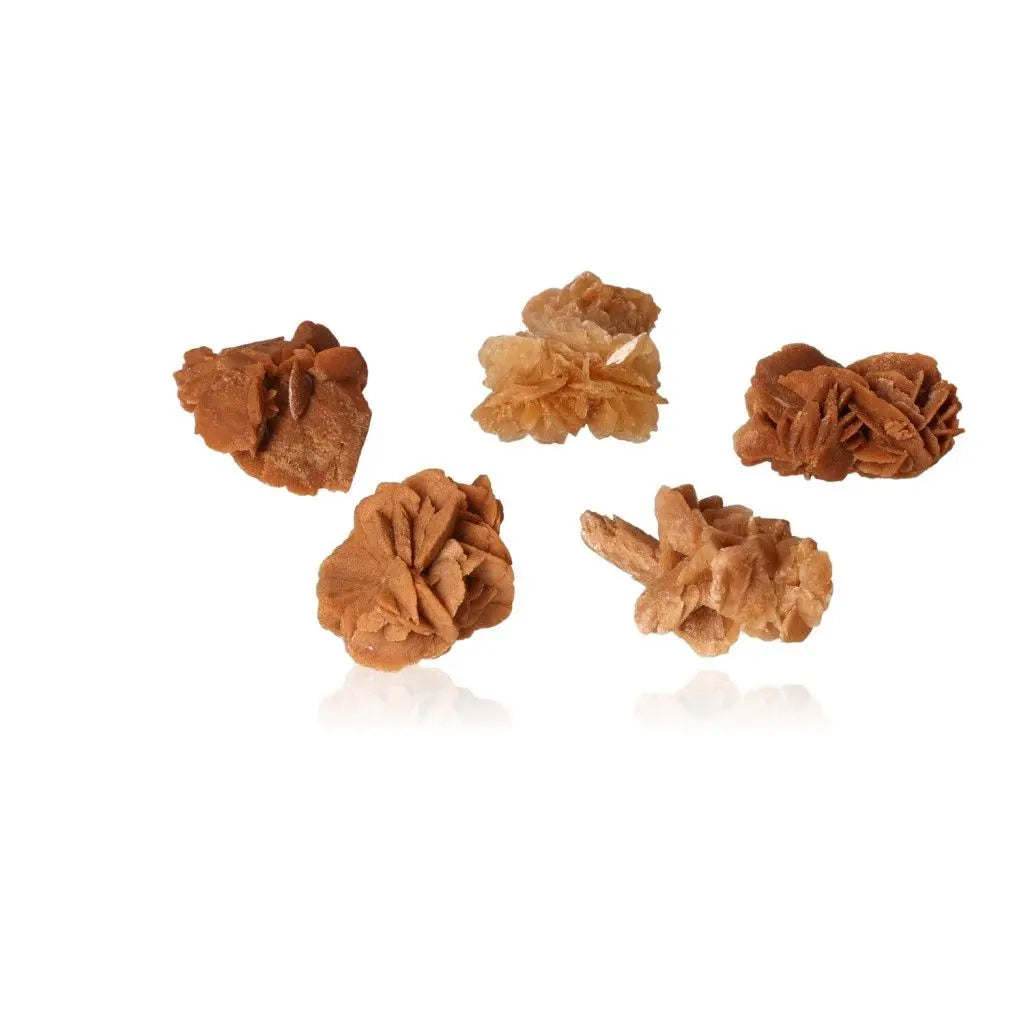 Desert Rose Druze by Sylvia Crystals, uniquely sculpted gypsum formations sourced from Morocco, showcasing nature's beauty.