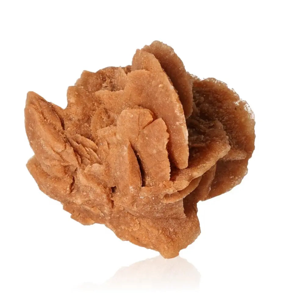 Desert Rose crystal formation by Sylvia Crystals, ethically sourced from Morocco. Unique gypsum and barite beauty.