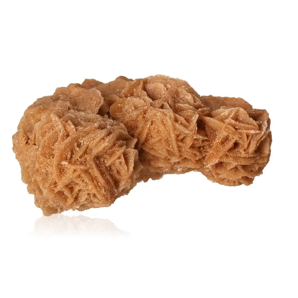 Beautiful Desert Rose mineral formation, ethically sourced from Morocco, showcasing intricate natural patterns by Sylvia Crystals.
