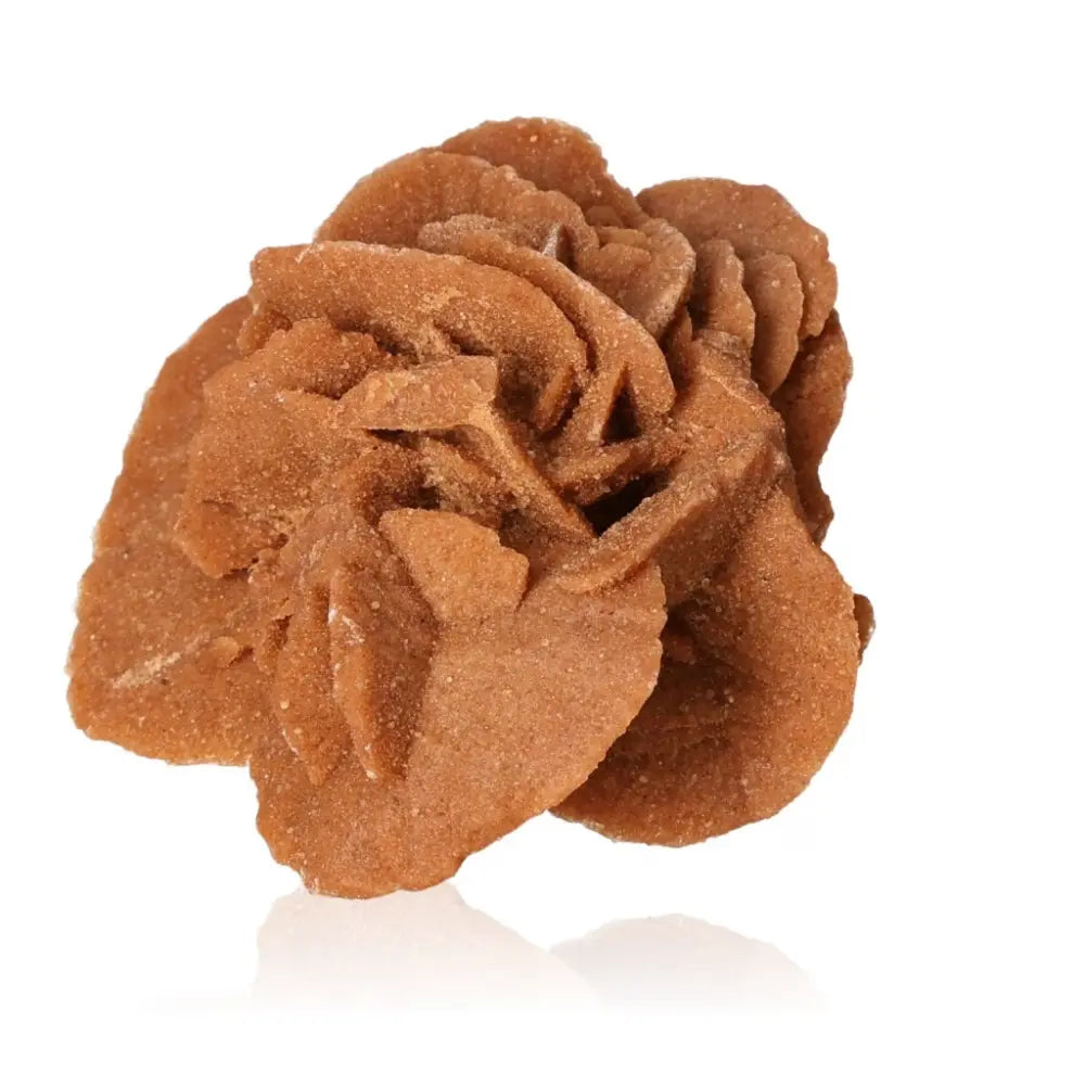 Desert Rose Gypsum by Sylvia Crystals, ethically sourced from Morocco showcasing unique natural beauty.