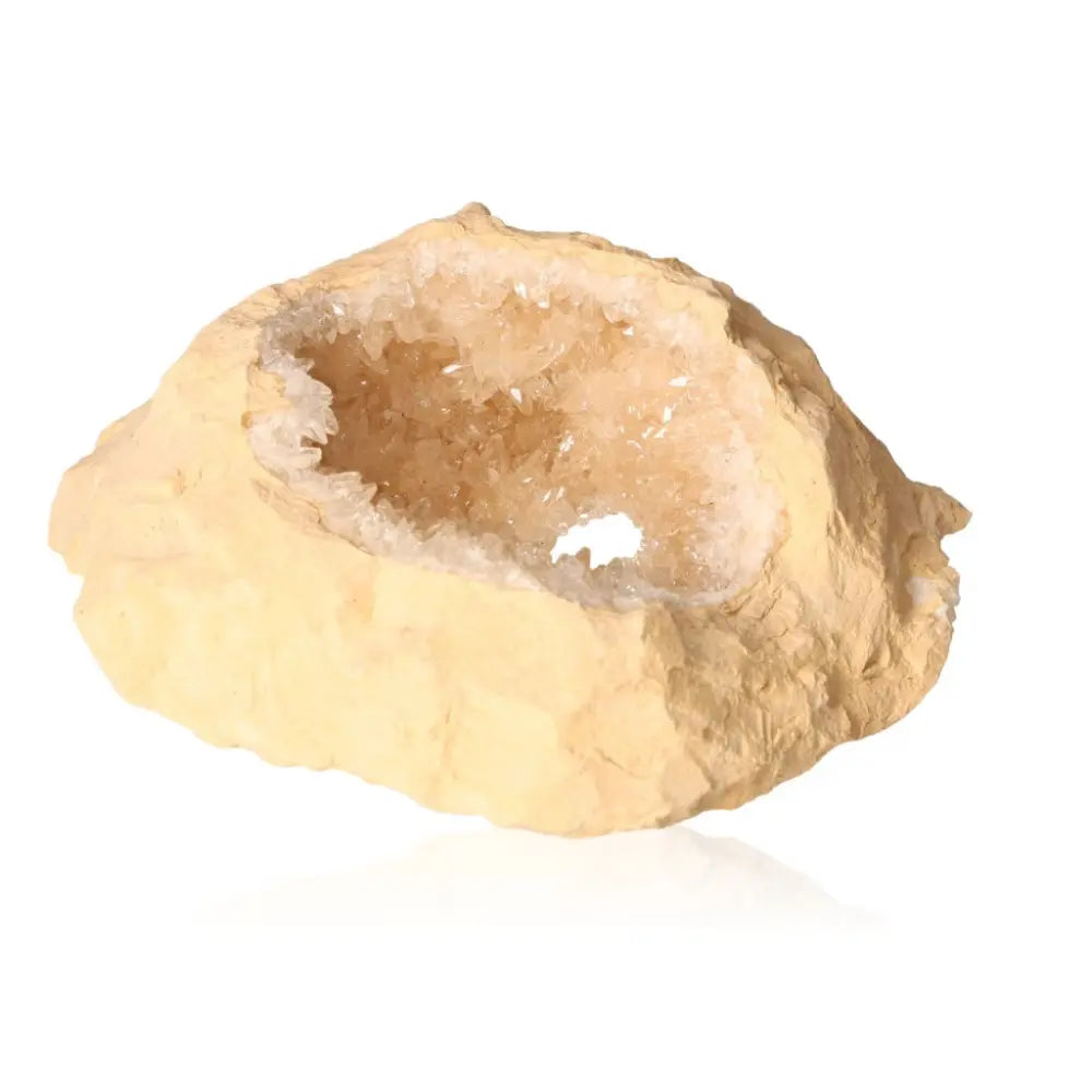 Dogtooth Calcite Cluster - Natural Cave Stalactite Formation Masterpiece