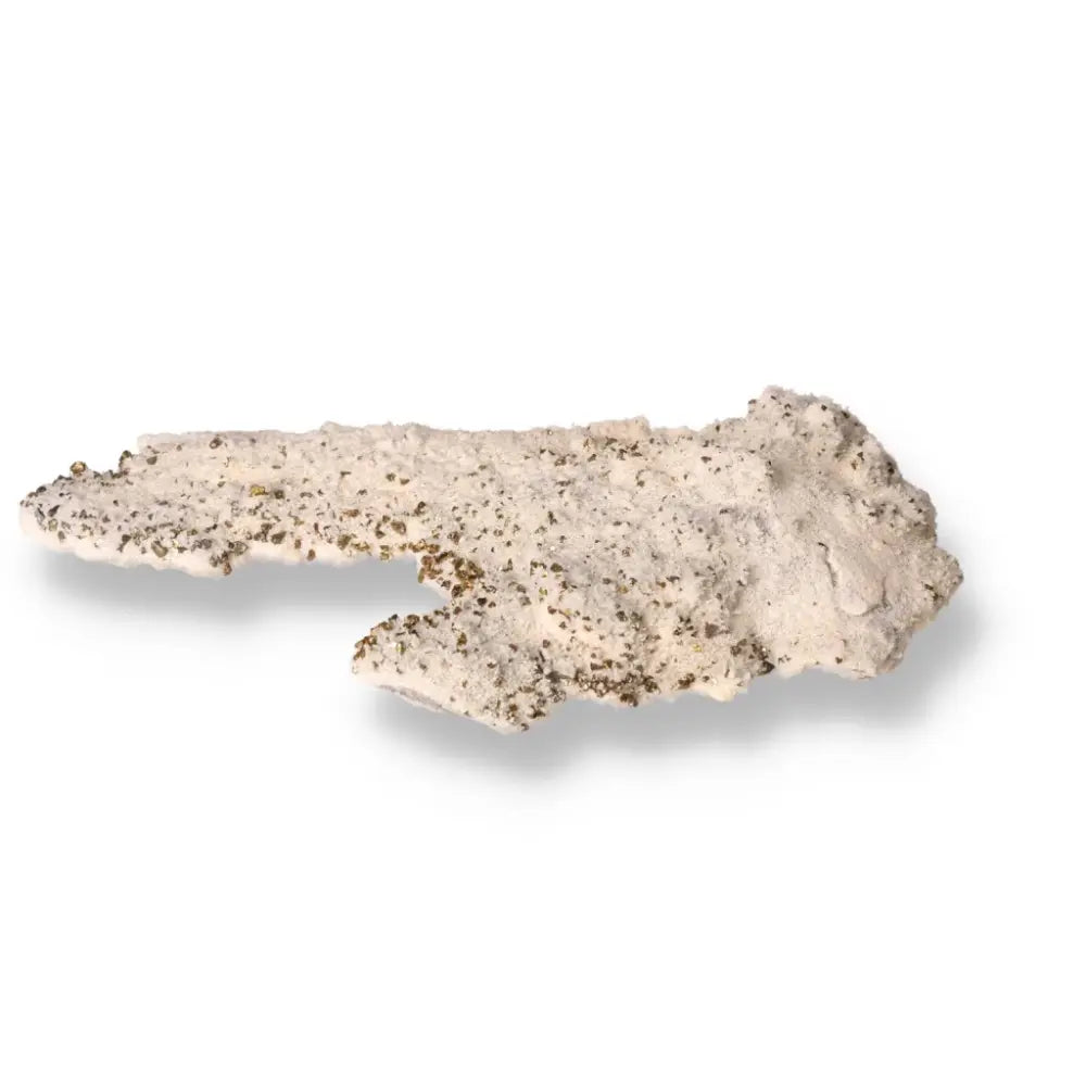 orbitvu|type:ORBITVU 360|https://orbitvu.co/share/kPT3dK8S8PkU9Mpqv3CiYn/6295807/360/iframe