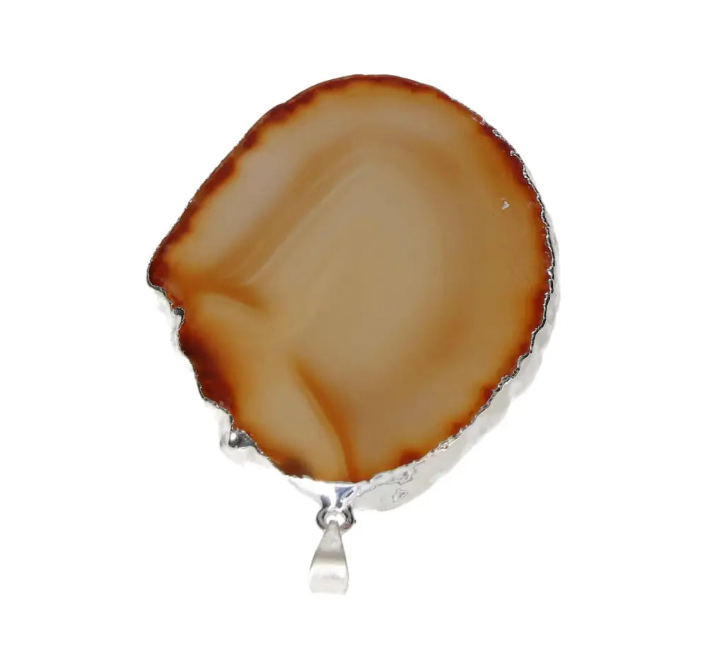 orbitvu|type:image2d