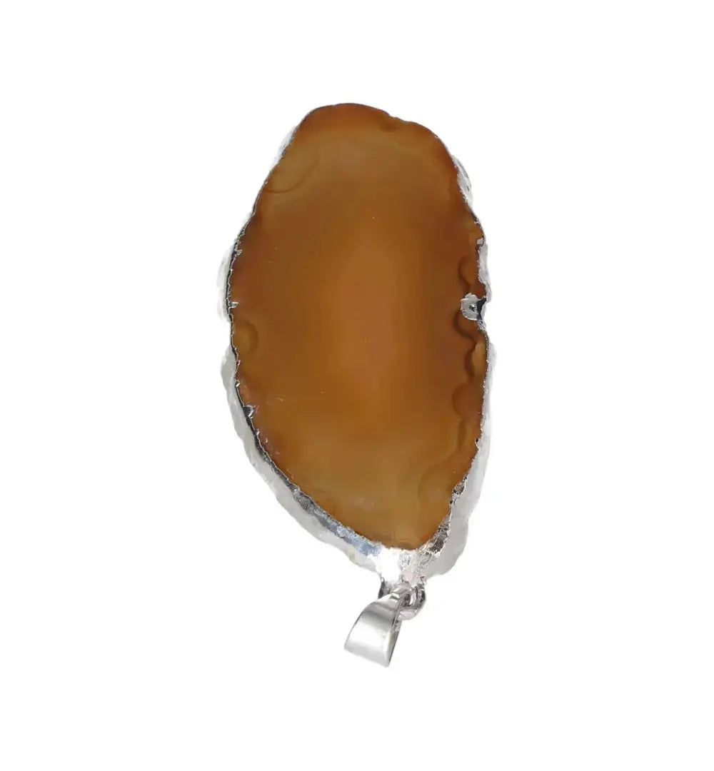 orbitvu|type:image2d