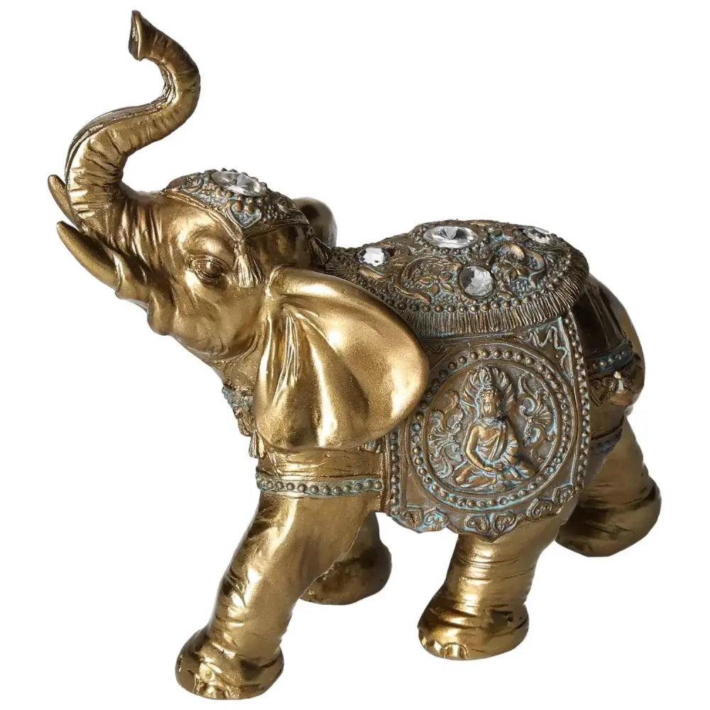 orbitvu|type:image2d