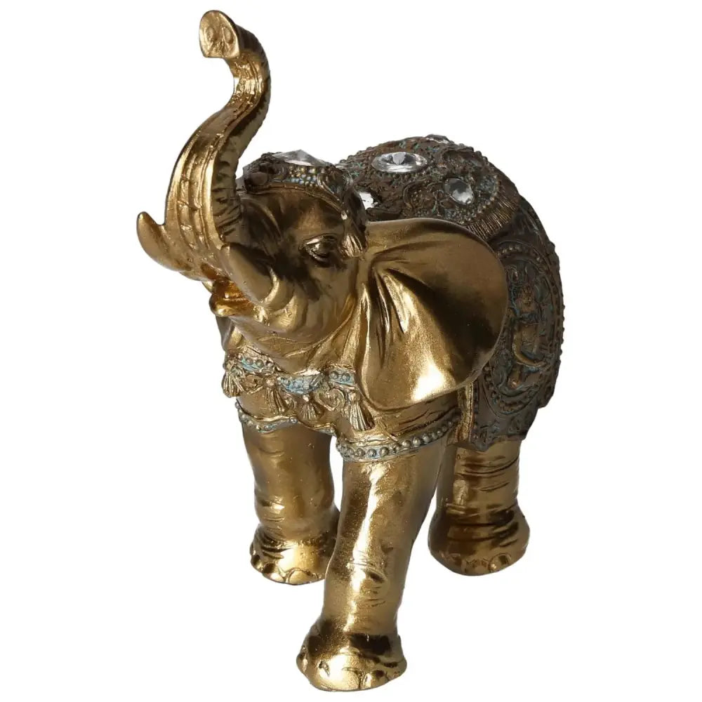 orbitvu|type:image2d